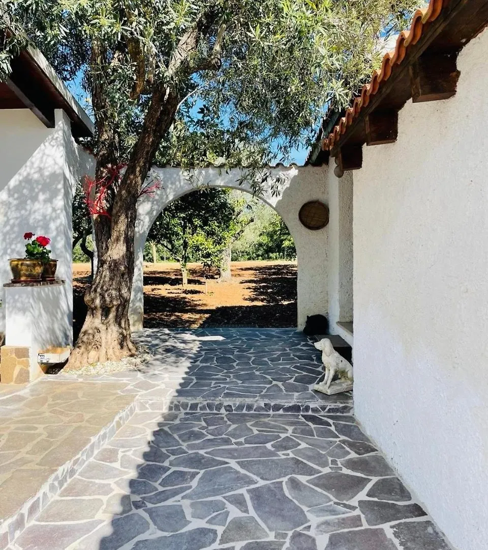 Il Villino Alghero Casa Linari 0*,