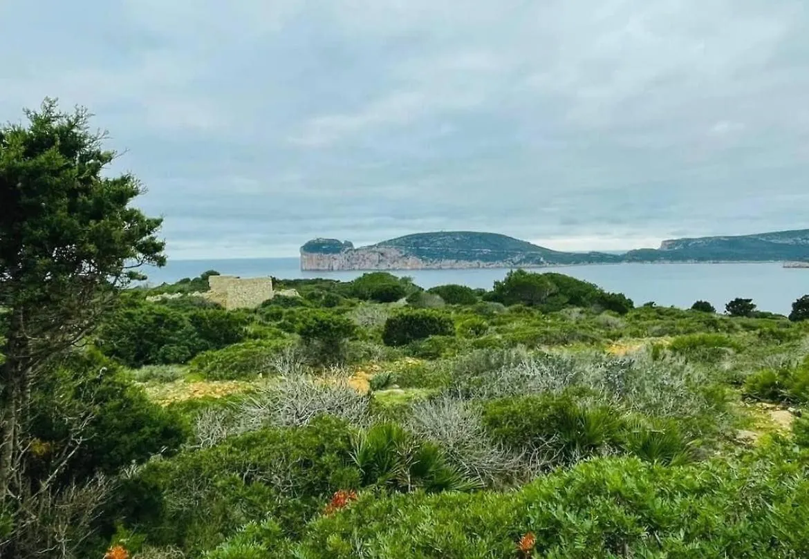 Il Villino Alghero Casa Linari 0*,
