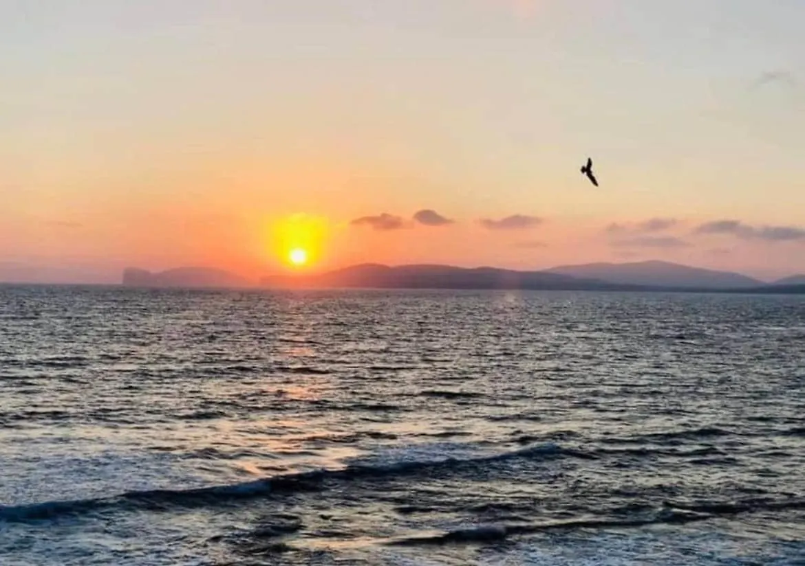 Il Villino Alghero contacts